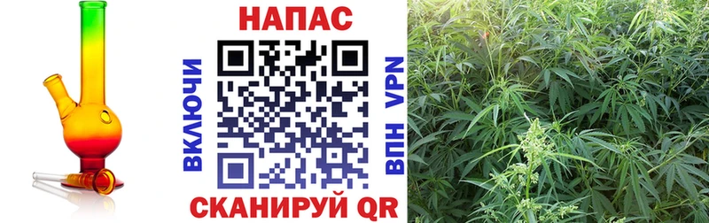 Наркотические вещества Вичуга Гашиш  NBOMe  МЕФ  Cocaine 