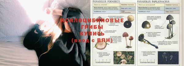 герыч Балахна