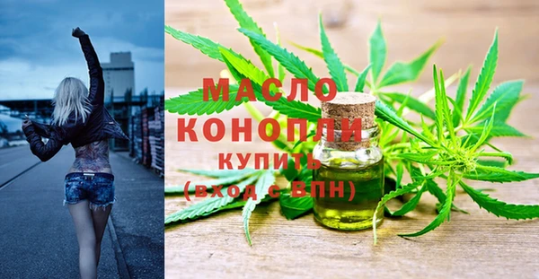 индика Аркадак