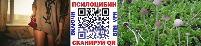 Псилоцибиновые грибы прущие грибы  Вичуга 